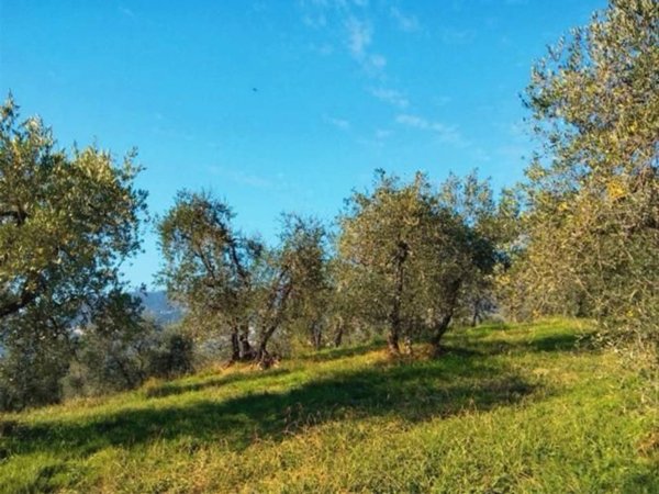 terreno agricolo in vendita ad Empoli in zona Pozzale