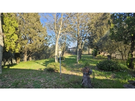 casa indipendente in vendita ad Empoli