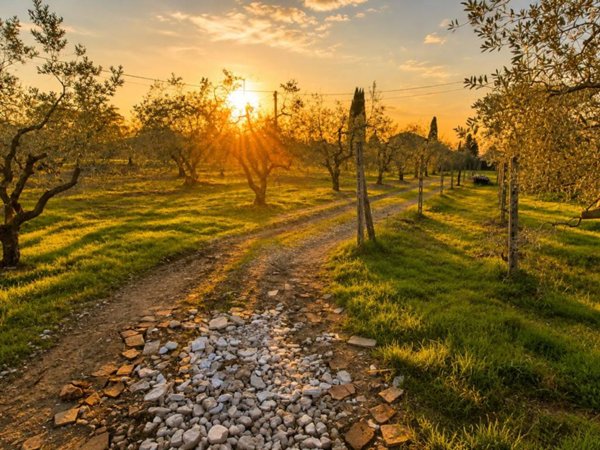 terreno agricolo in vendita ad Empoli in zona Villanuova