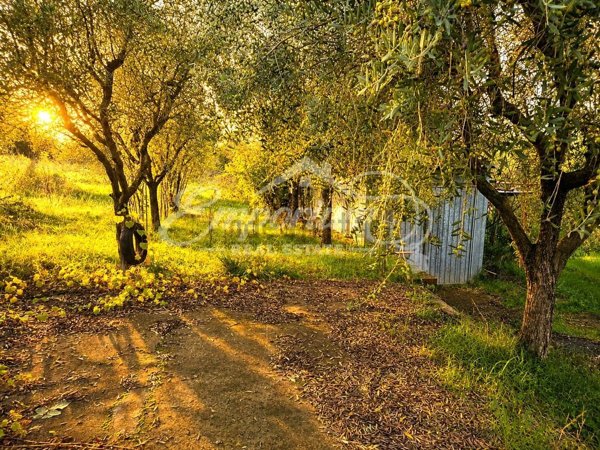 terreno agricolo in vendita ad Empoli