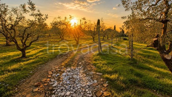 terreno agricolo in vendita ad Empoli in zona Villanuova