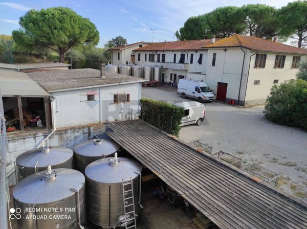 azienda agricola in vendita ad Empoli in zona Sant'Andrea