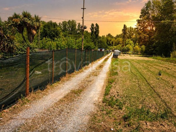 terreno agricolo in vendita ad Empoli in zona Monterappoli