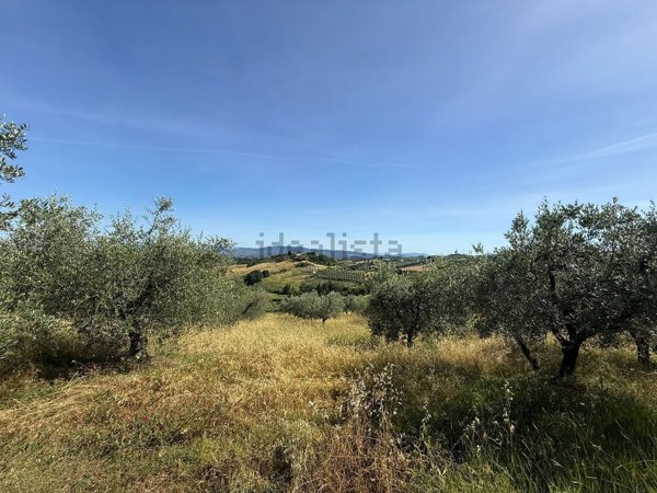 terreno agricolo in vendita ad Empoli in zona Monterappoli