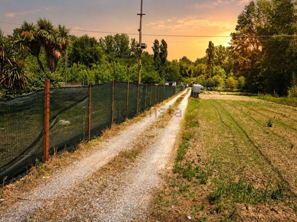 terreno agricolo in vendita ad Empoli in zona Brusciana