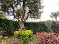 appartamento in vendita ad Empoli