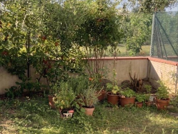 appartamento in vendita ad Empoli in zona Carraia
