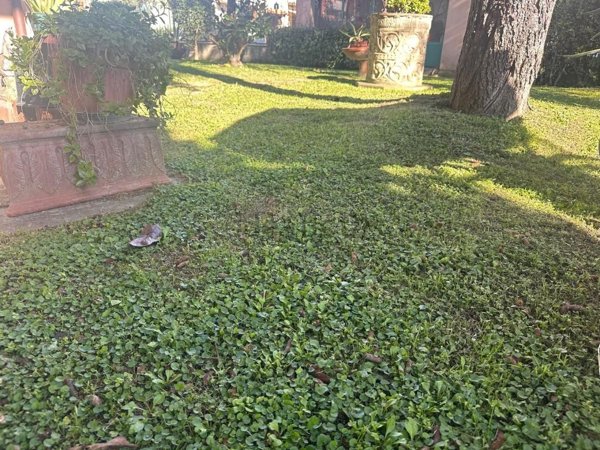 casa indipendente in vendita ad Empoli in zona Avane