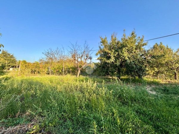 terreno agricolo in vendita ad Empoli in zona Villanuova