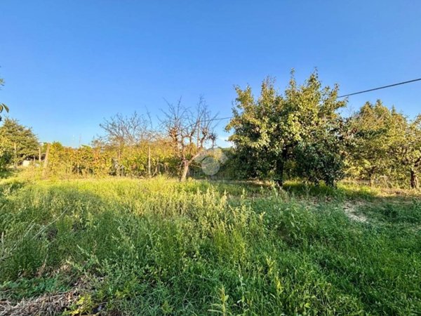 terreno agricolo in vendita ad Empoli
