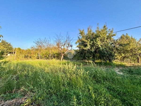 terreno agricolo in vendita ad Empoli in zona Villanuova