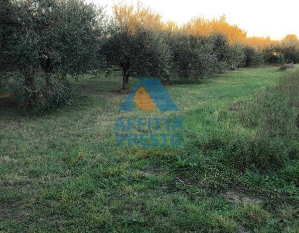 terreno agricolo in vendita ad Empoli