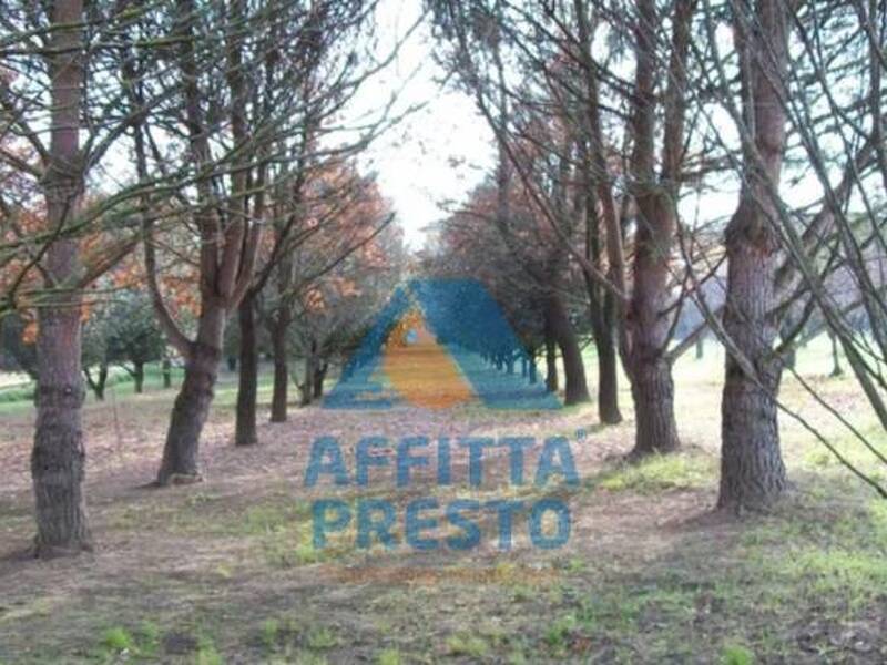 terreno agricolo in vendita ad Empoli