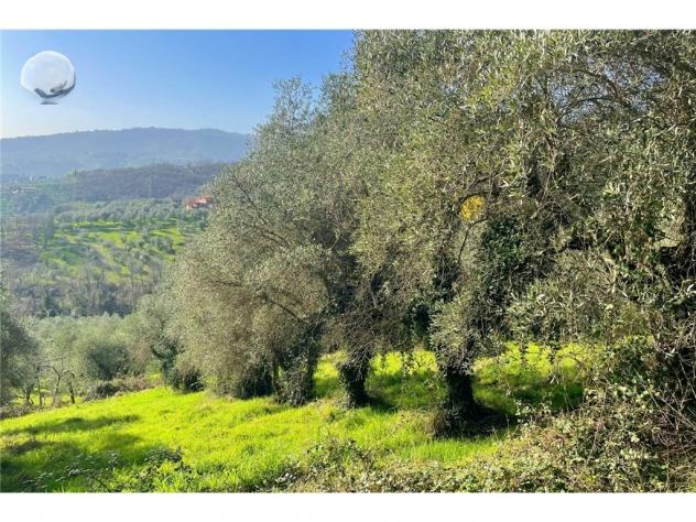 terreno agricolo in vendita ad Empoli in zona Monterappoli
