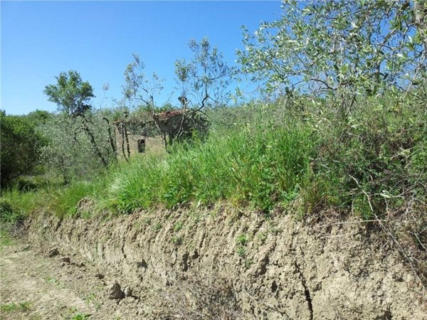 terreno agricolo in vendita ad Empoli in zona Monterappoli
