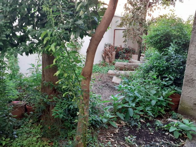 casa indipendente in vendita ad Empoli in zona Ponzano