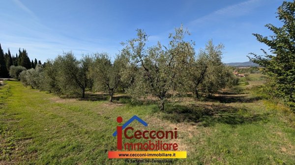 casa indipendente in vendita ad Empoli in zona Corniola