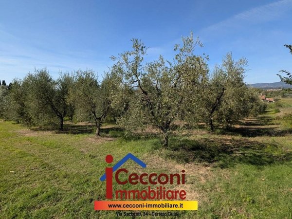 casa indipendente in vendita ad Empoli in zona Corniola