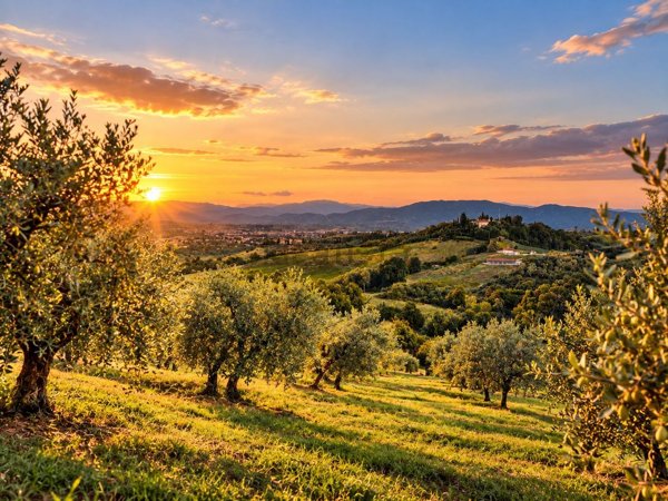 terreno agricolo in vendita ad Empoli