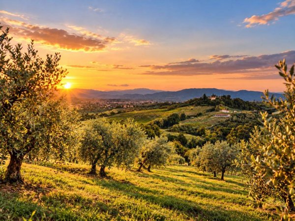 terreno agricolo in vendita ad Empoli