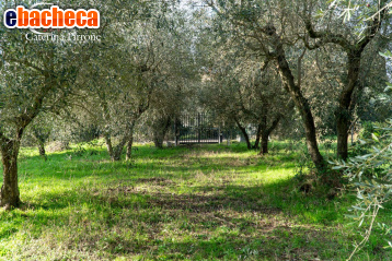 appartamento in vendita a Fiesole in zona Girone