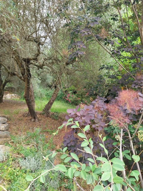 appartamento in vendita a Fiesole