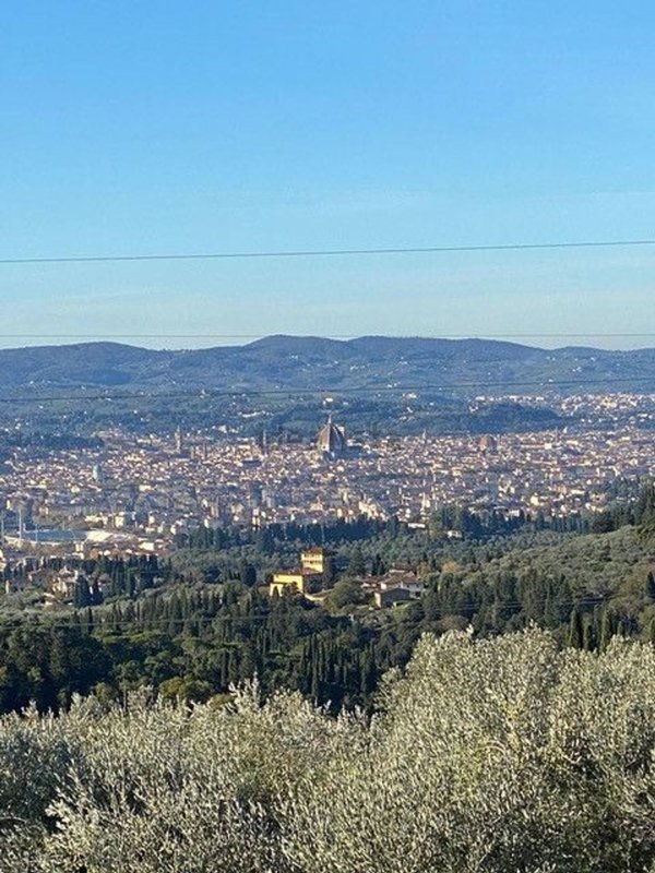 esavano in vendita a Fiesole