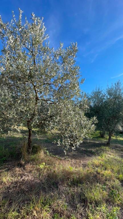 casa indipendente in vendita a Fiesole