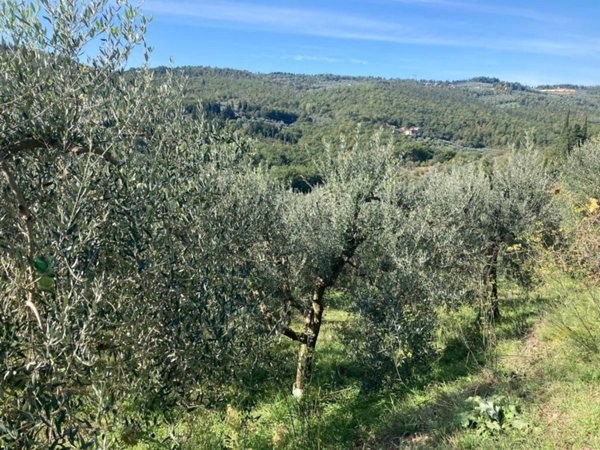 terreno agricolo in vendita a Fiesole in zona Compiobbi