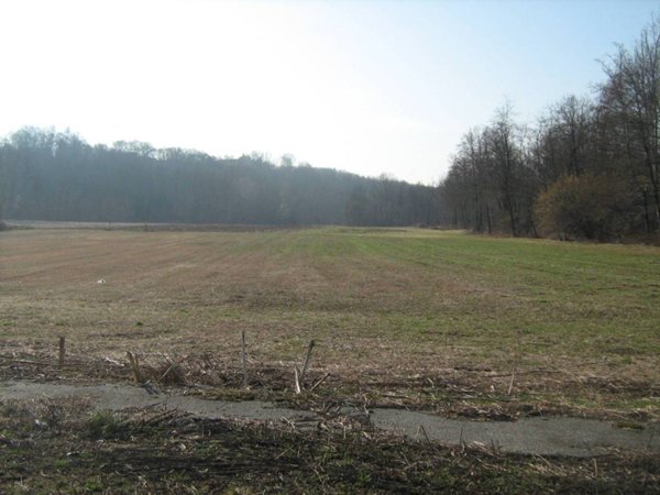 terreno agricolo in vendita ad Agrate Conturbia in zona Agrate