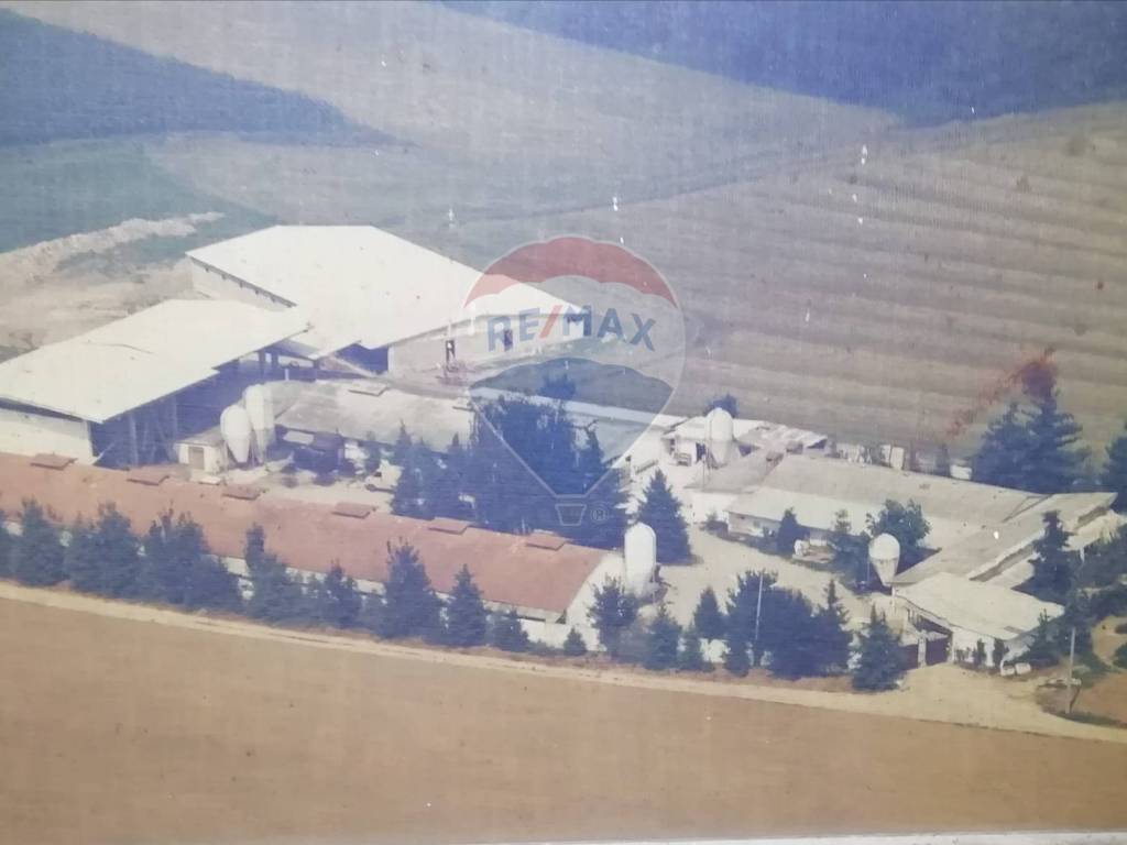 terreno agricolo in vendita ad Agrate Conturbia