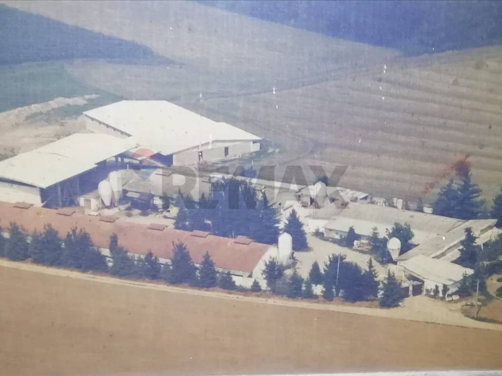 terreno agricolo in vendita ad Agrate Conturbia