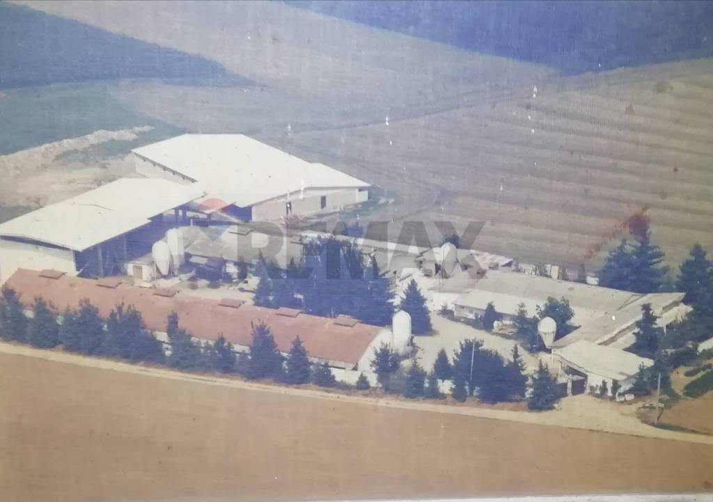 terreno agricolo in vendita ad Agrate Conturbia in zona Conturbia
