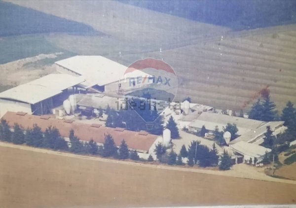 terreno agricolo in vendita ad Agrate Conturbia