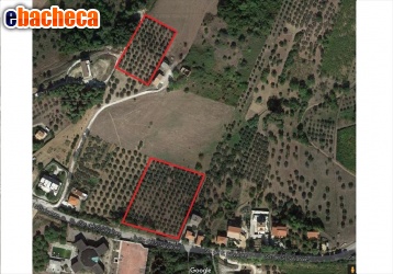 terreno agricolo in vendita a Firenze