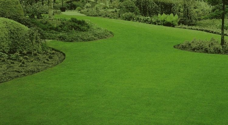 terreno agricolo in vendita a Firenze