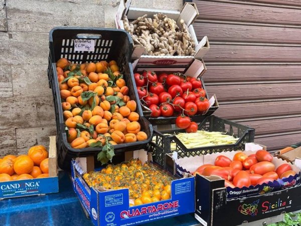 negozio in vendita a Firenze in zona Novoli