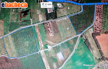 terreno agricolo in vendita a Firenze