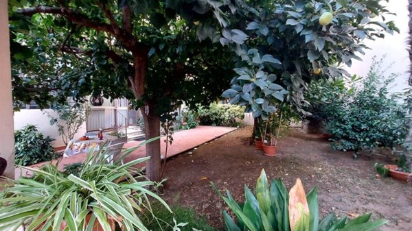 appartamento in vendita a Firenze in zona Campo di Marte