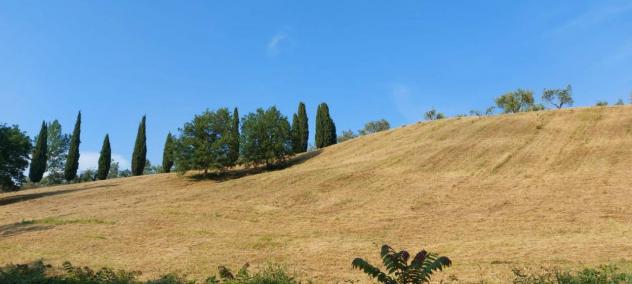 negozio in vendita a Firenze in zona Campo di Marte