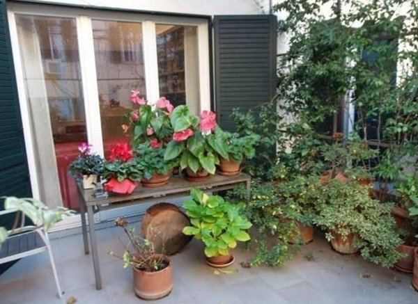 appartamento in vendita a Firenze in zona Centro Santa Croce
