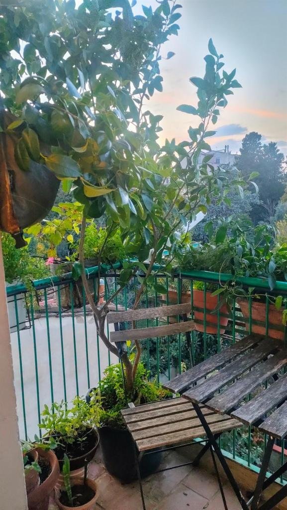 appartamento in vendita a Firenze in zona Centro Storico