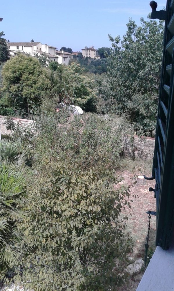 immagine annuncio 0 di 1