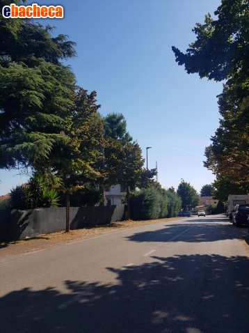 terreno edificabile in vendita a Firenze