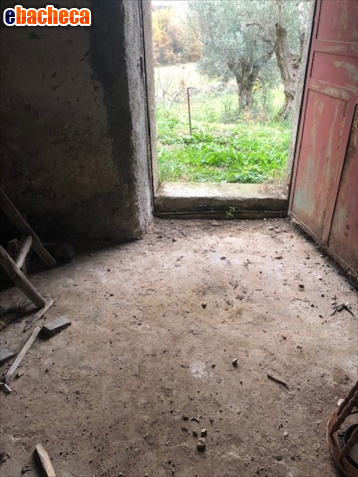 terreno agricolo in vendita a Firenze