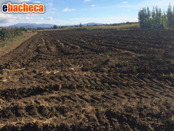 terreno agricolo in vendita a Firenze