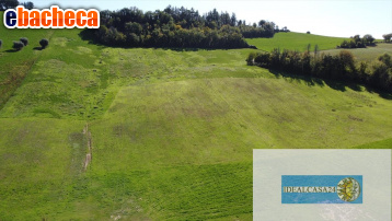 terreno agricolo in vendita a Firenze