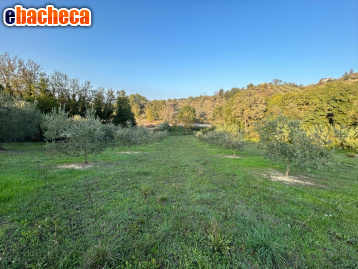 terreno agricolo in vendita a Firenze