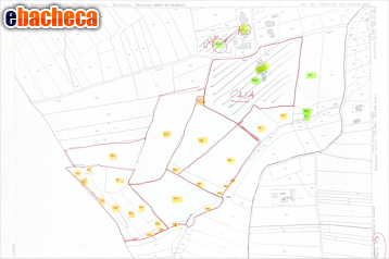 terreno agricolo in vendita a Firenze