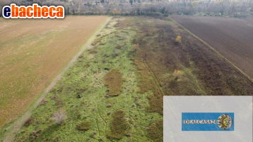 terreno agricolo in vendita a Firenze